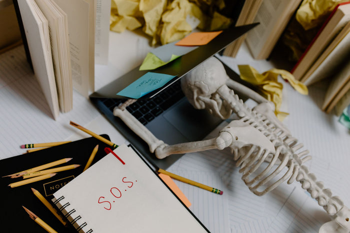 Google Business Profile SOS: Cosa fare se la tua scheda viene sospesa (e come prevenirlo)
